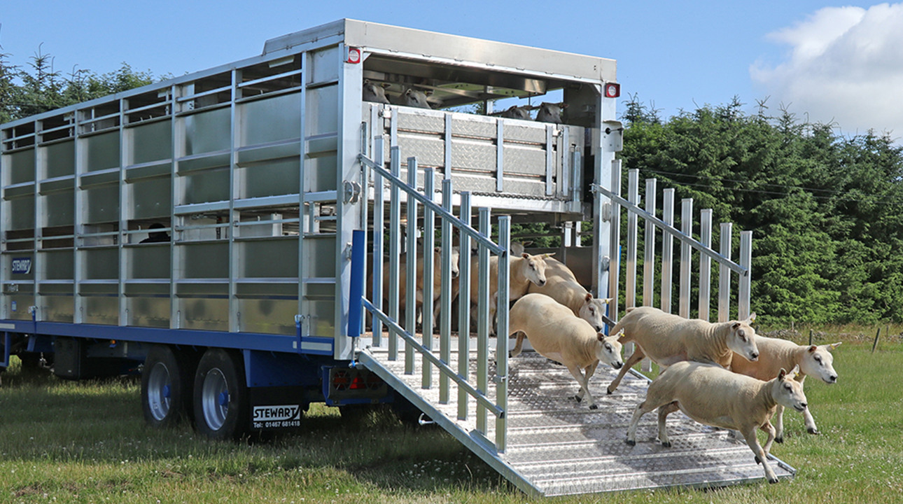 Livestock Containers