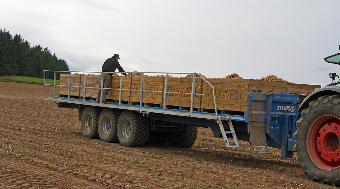 Standard Flat Trailers